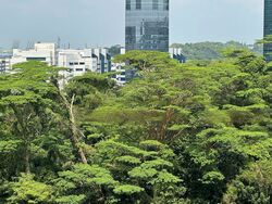 Blk 93B Telok Blangah Parcview (Bukit Merah), HDB 4 Rooms #447239581